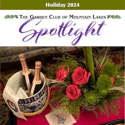 Holiday Happenings: 2024