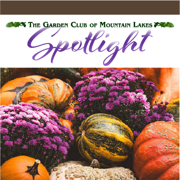 Spotlight: Autumn 2025